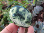 Polished Leopard Stone Free Forms x 12 From Zimbabwe - Toprock Gemstones and Minerals 