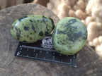 Polished Leopard Stone Free Forms x 12 From Zimbabwe - Toprock Gemstones and Minerals 