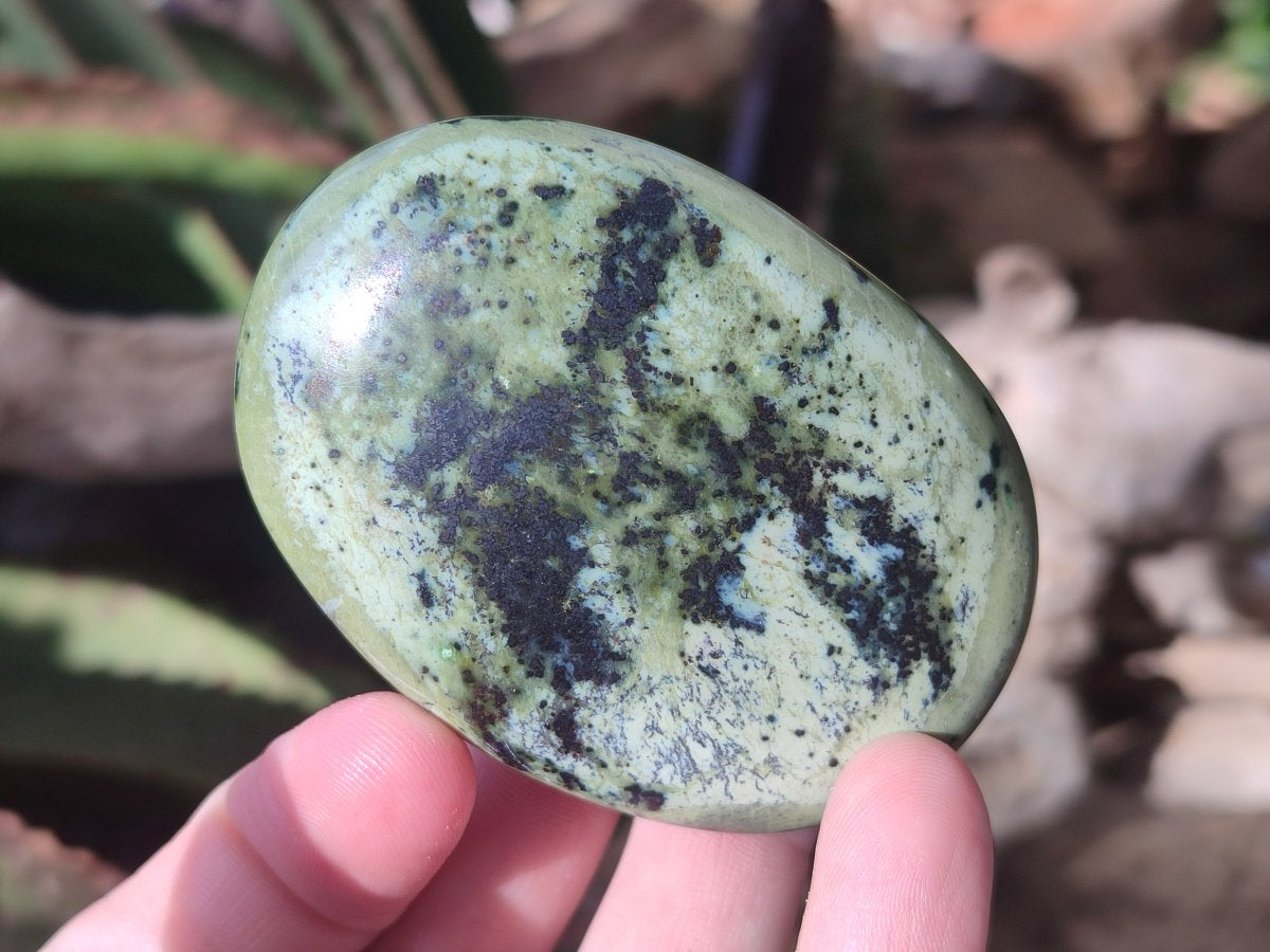 Polished Leopard Stone Free Forms x 12 From Zimbabwe - Toprock Gemstones and Minerals 