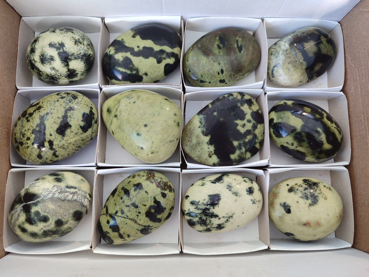 Polished Leopard Stone Free Forms x 12 From Zimbabwe - Toprock Gemstones and Minerals 