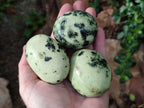 Polished Leopard Stone Free Forms x 12 From Zimbabwe - Toprock Gemstones and Minerals 