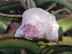 Natural Pink Rubellite Tourmaline Specimens x 2 From Karibib, Namibia - Toprock Gemstones and Minerals 