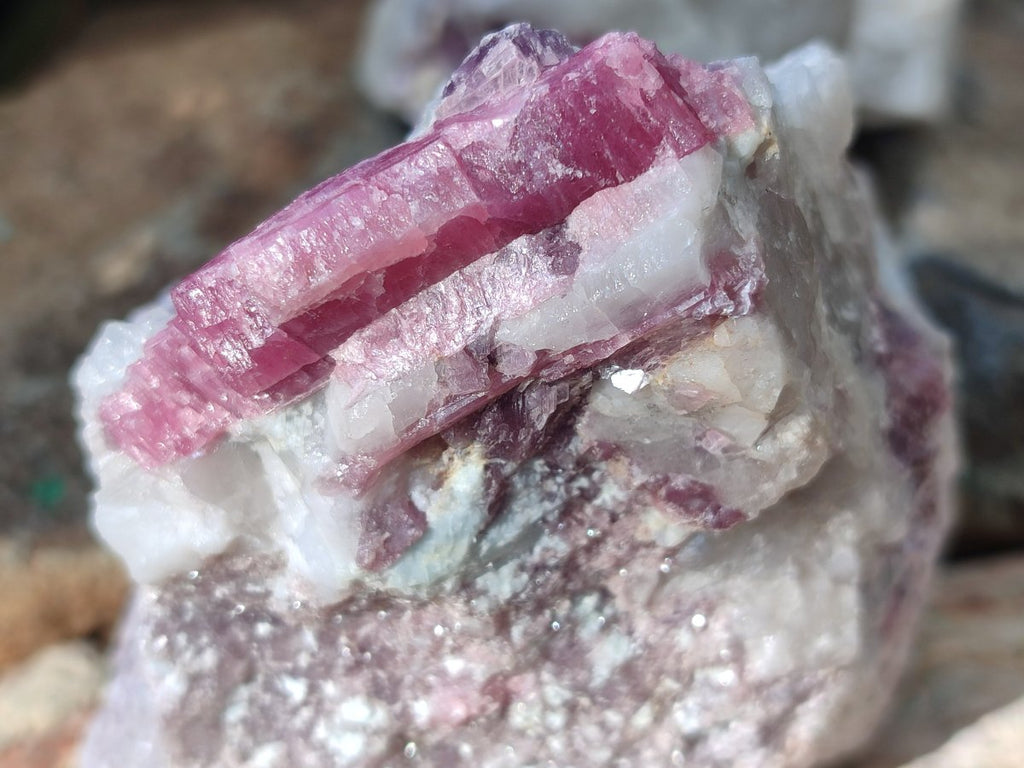 Natural Pink Rubellite Tourmaline Specimens x 2 From Karibib, Namibia - Toprock Gemstones and Minerals 