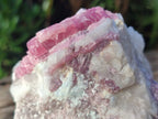 Natural Pink Rubellite Tourmaline Specimens x 2 From Karibib, Namibia - Toprock Gemstones and Minerals 