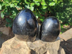 Polished Black Tourmaline Standing Free Forms x 2 From Madagascar - Toprock Gemstones and Minerals 