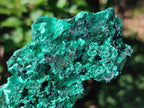 Natural Silky Malachite Specimens x 6 From Kasompe, Congo - Toprock Gemstones and Minerals 