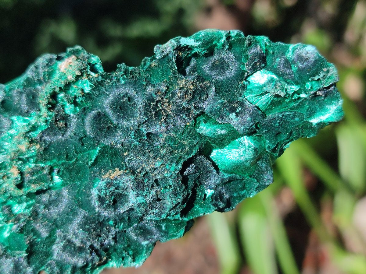 Natural Silky Malachite Specimens x 6 From Kasompe, Congo - Toprock Gemstones and Minerals 