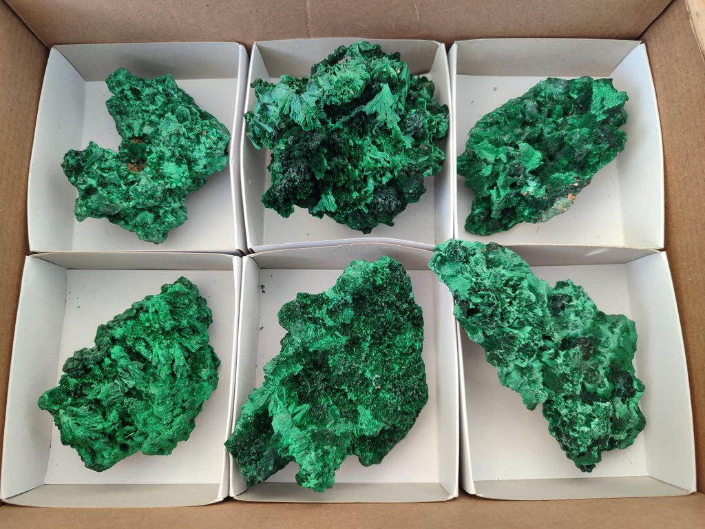 Natural Silky Malachite Specimens x 6 From Kasompe, Congo - Toprock Gemstones and Minerals 