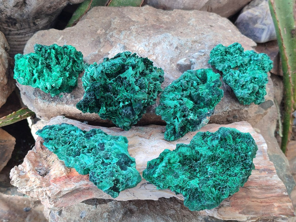 Natural Silky Malachite Specimens x 6 From Kasompe, Congo - Toprock Gemstones and Minerals 