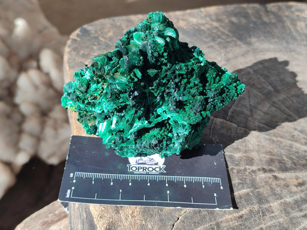 Natural Silky Malachite Specimens x 6 From Kasompe, Congo - Toprock Gemstones and Minerals 