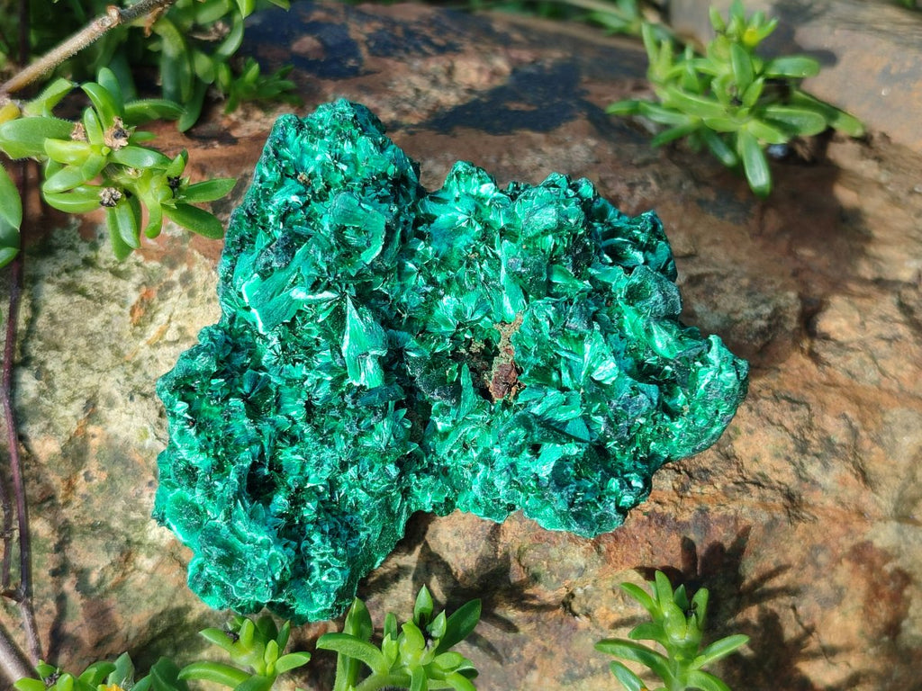 Natural Silky Malachite Specimens x 6 From Kasompe, Congo - Toprock Gemstones and Minerals 