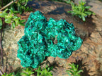 Natural Silky Malachite Specimens x 6 From Kasompe, Congo - Toprock Gemstones and Minerals 