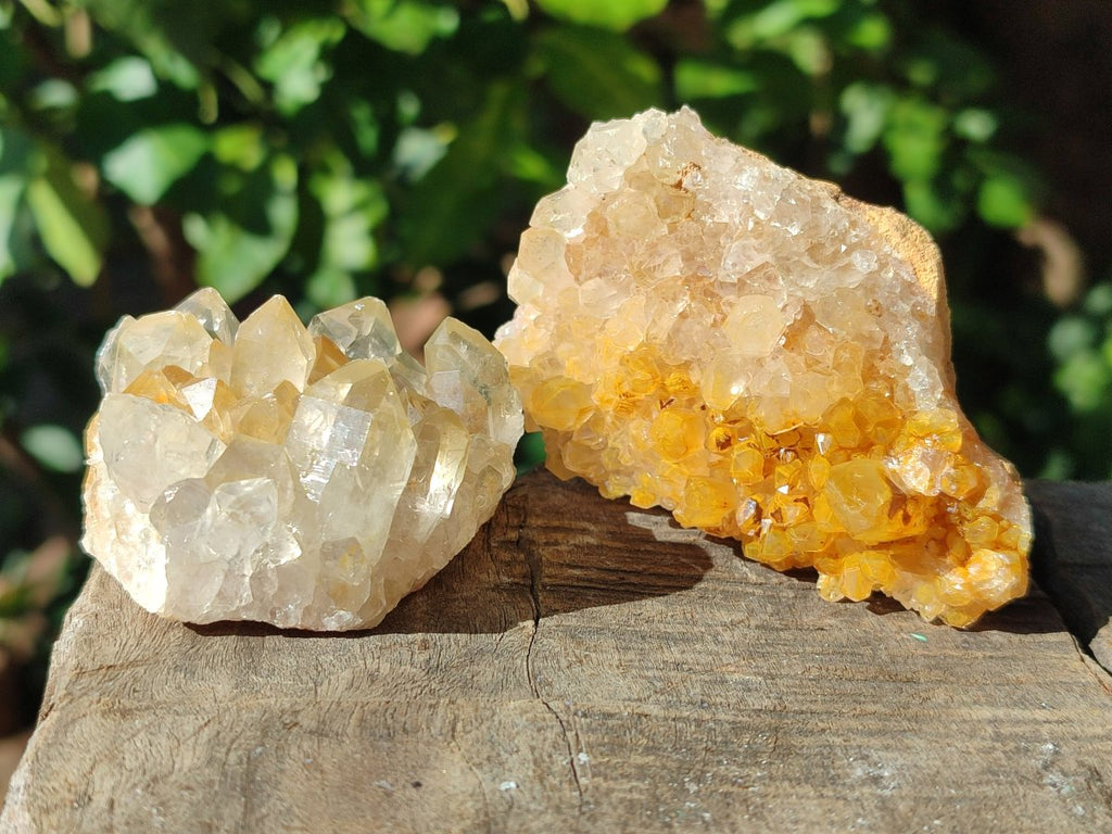 Natural Golden Limonite Quartz Clusters with Goethite inclusions x 24 From Solwezi, Zambia - Toprock Gemstones and Minerals 