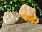 Natural Golden Limonite Quartz Clusters with Goethite inclusions x 24 From Solwezi, Zambia - Toprock Gemstones and Minerals 