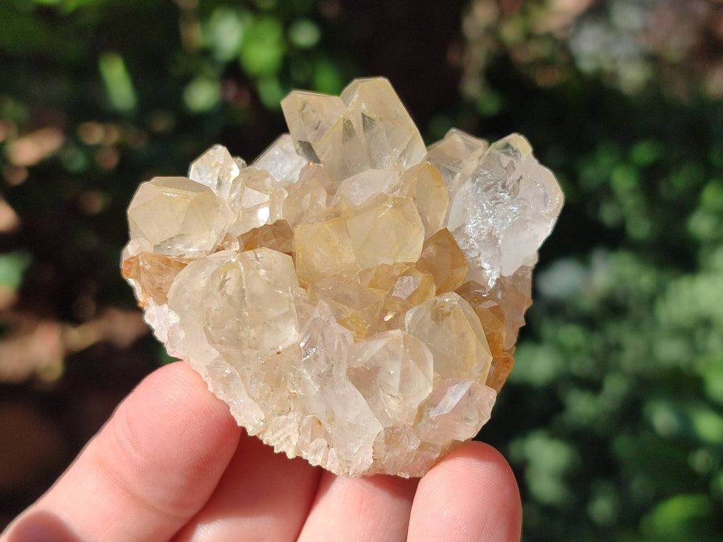 Natural Golden Limonite Quartz Clusters with Goethite inclusions x 24 From Solwezi, Zambia - Toprock Gemstones and Minerals 