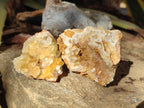 Natural Golden Limonite Quartz Clusters with Goethite inclusions x 24 From Solwezi, Zambia - Toprock Gemstones and Minerals 