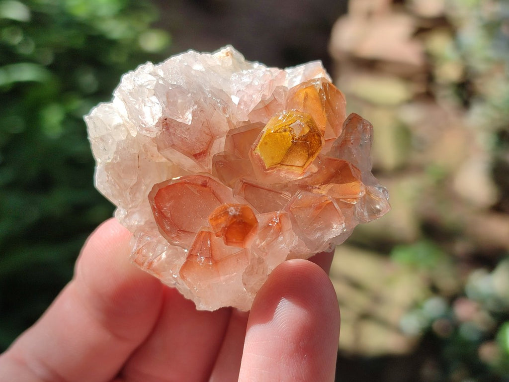 Natural Golden Limonite Quartz Clusters with Goethite inclusions x 24 From Solwezi, Zambia - Toprock Gemstones and Minerals 
