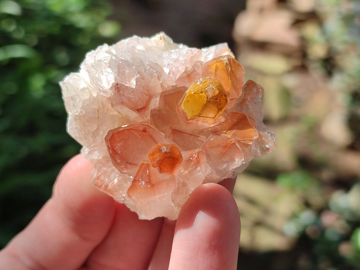Natural Golden Limonite Quartz Clusters with Goethite inclusions x 24 From Solwezi, Zambia - Toprock Gemstones and Minerals 