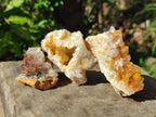 Natural Golden Limonite Quartz Clusters with Goethite inclusions x 24 From Solwezi, Zambia - Toprock Gemstones and Minerals 