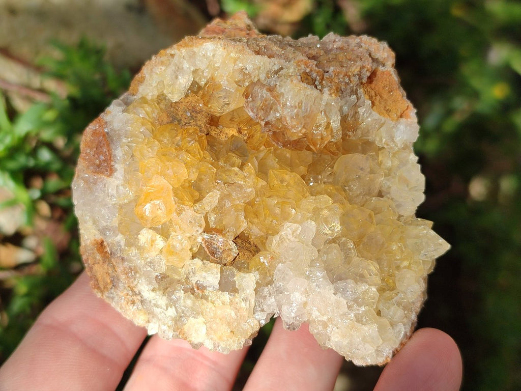 Natural Golden Limonite Quartz Clusters with Goethite inclusions x 24 From Solwezi, Zambia - Toprock Gemstones and Minerals 