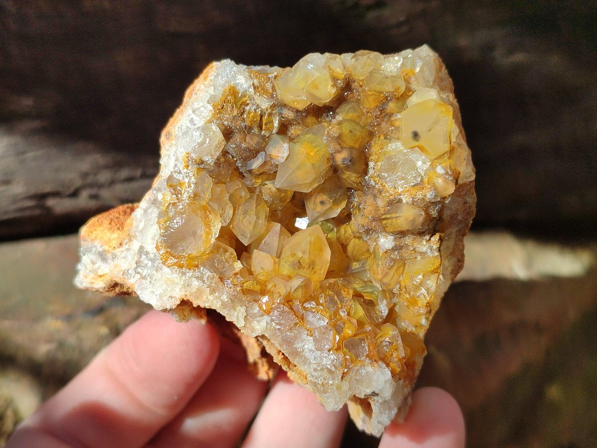 Natural Golden Limonite Quartz Clusters with Goethite inclusions x 24 From Solwezi, Zambia - Toprock Gemstones and Minerals 