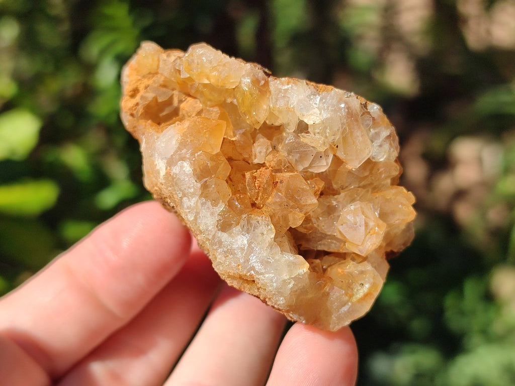 Natural Golden Limonite Quartz Clusters with Goethite inclusions x 24 From Solwezi, Zambia - Toprock Gemstones and Minerals 