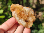 Natural Golden Limonite Quartz Clusters with Goethite inclusions x 24 From Solwezi, Zambia - Toprock Gemstones and Minerals 