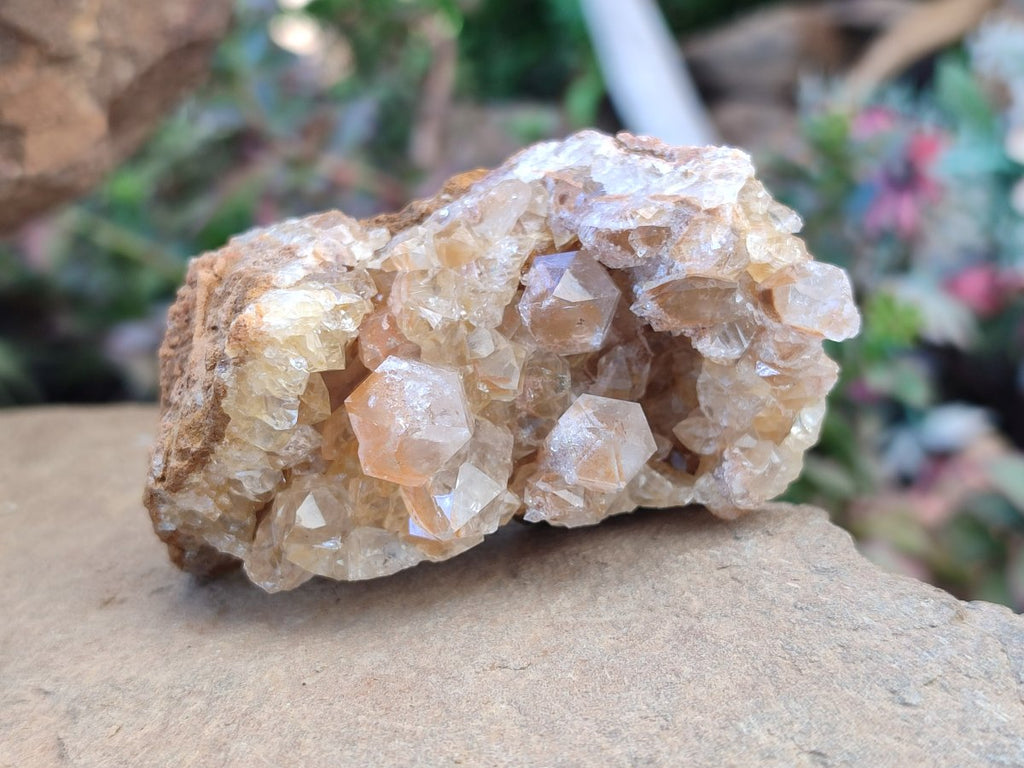 Natural Golden Limonite Quartz Clusters with Goethite inclusions x 24 From Solwezi, Zambia - Toprock Gemstones and Minerals 