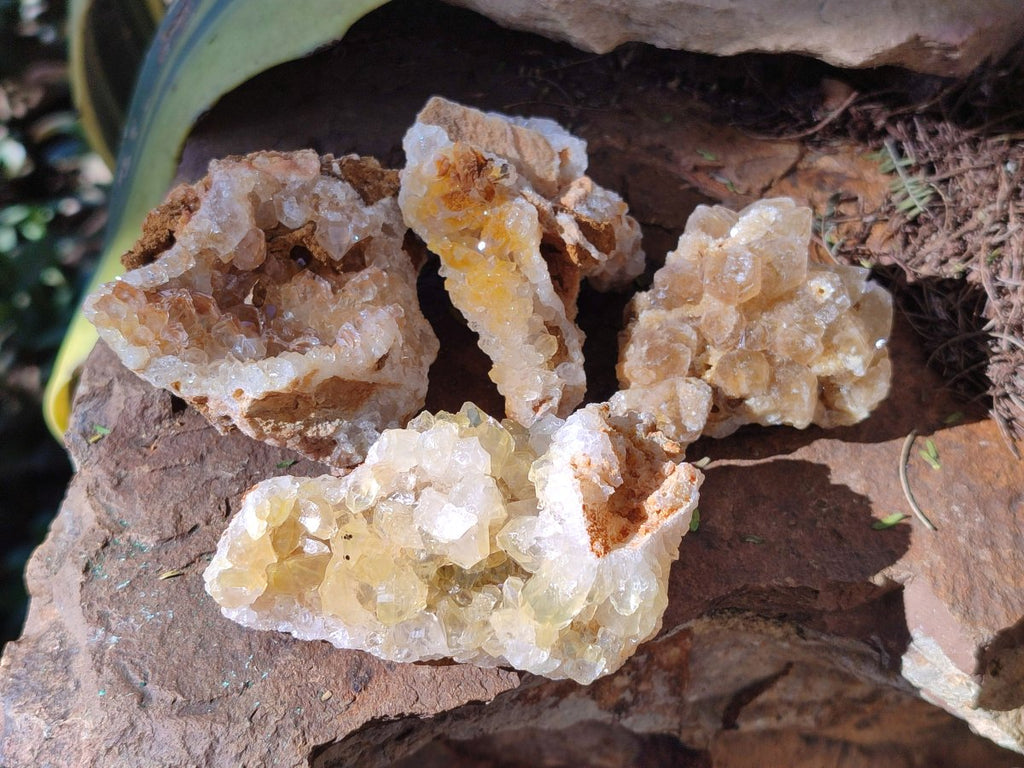 Natural Golden Limonite Quartz Clusters with Goethite inclusions x 24 From Solwezi, Zambia - Toprock Gemstones and Minerals 