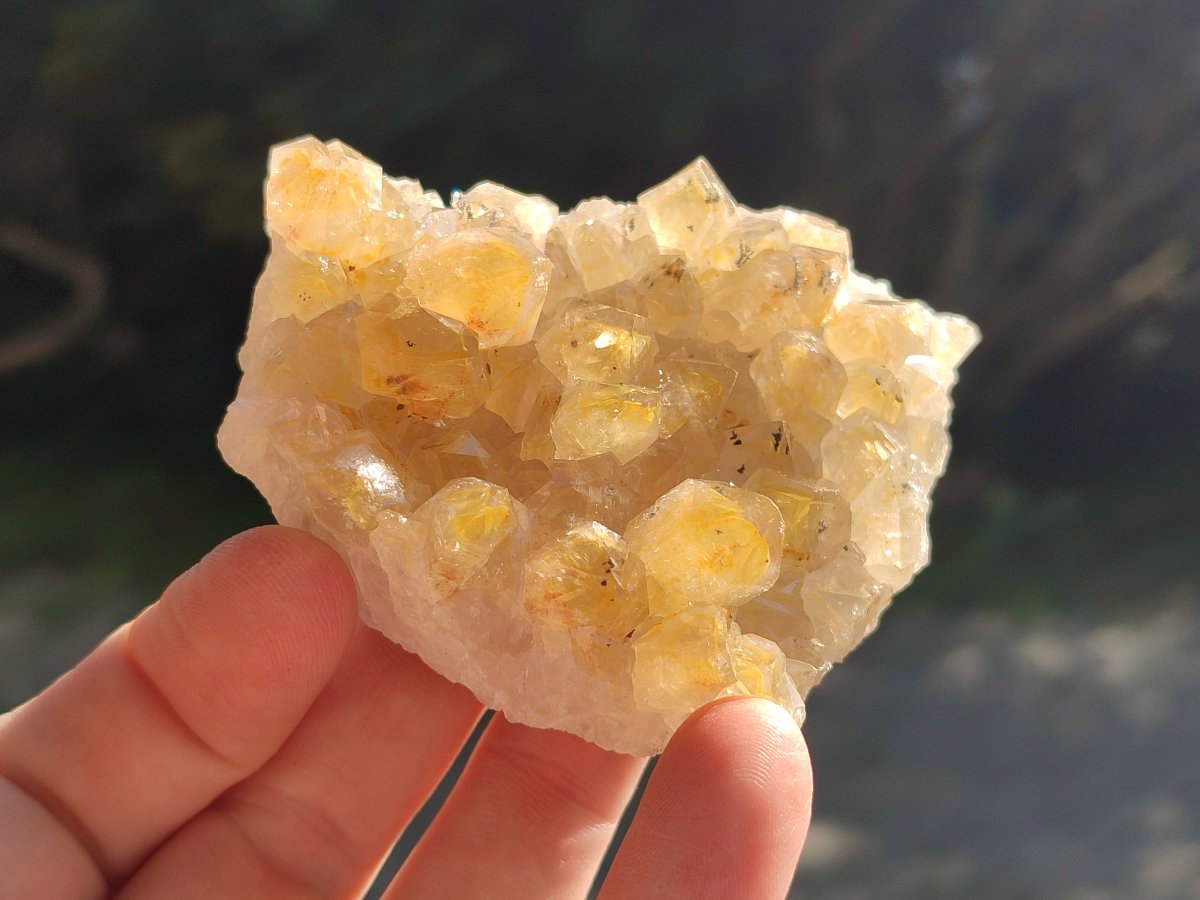 Natural Golden Limonite Quartz Clusters with Goethite inclusions x 24 From Solwezi, Zambia - Toprock Gemstones and Minerals 