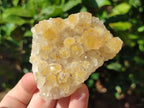 Natural Golden Limonite Quartz Clusters with Goethite inclusions x 24 From Solwezi, Zambia - Toprock Gemstones and Minerals 