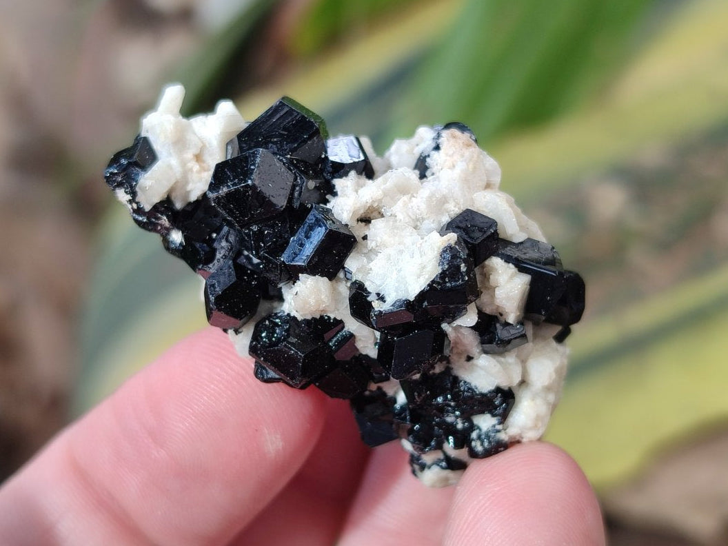 Natural Schorl Black Tourmaline with Feldspar Specimens x 35 From Erongo, Namibia - Toprock Gemstones and Minerals 