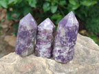 Polished Lepidolite Display Crystals x 12 From Ambatondrazaka, Madagascar - Toprock Gemstones and Minerals 