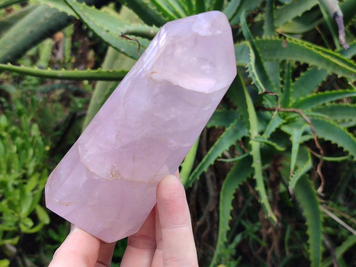 Polished Gemmy Rose Quartz Crystals x 3 From Madagascar - Toprock Gemstones and Minerals 