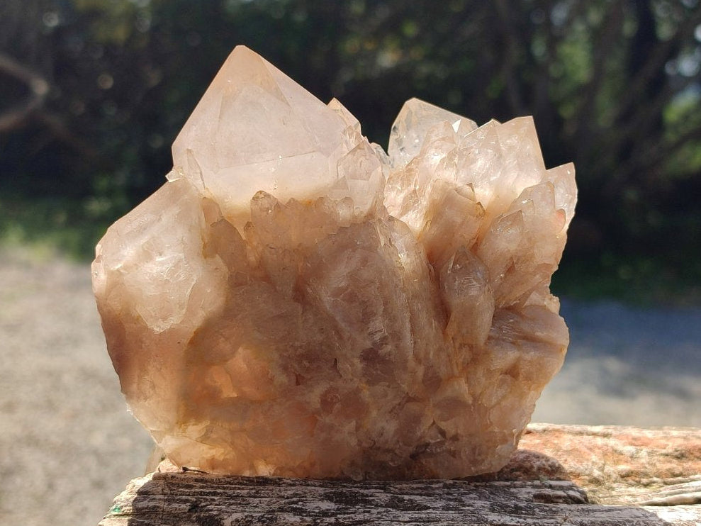 Natural Cascading White Phantom Smokey Luena Quartz Clusters x 4 From Luena, Congo - Toprock Gemstones and Minerals 
