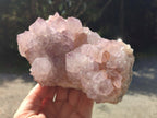 Natural Sunburst Cactus Flower Spirit Amethyst Clusters x 2 From Boekenhouthoek, South Africa - Toprock Gemstones and Minerals 
