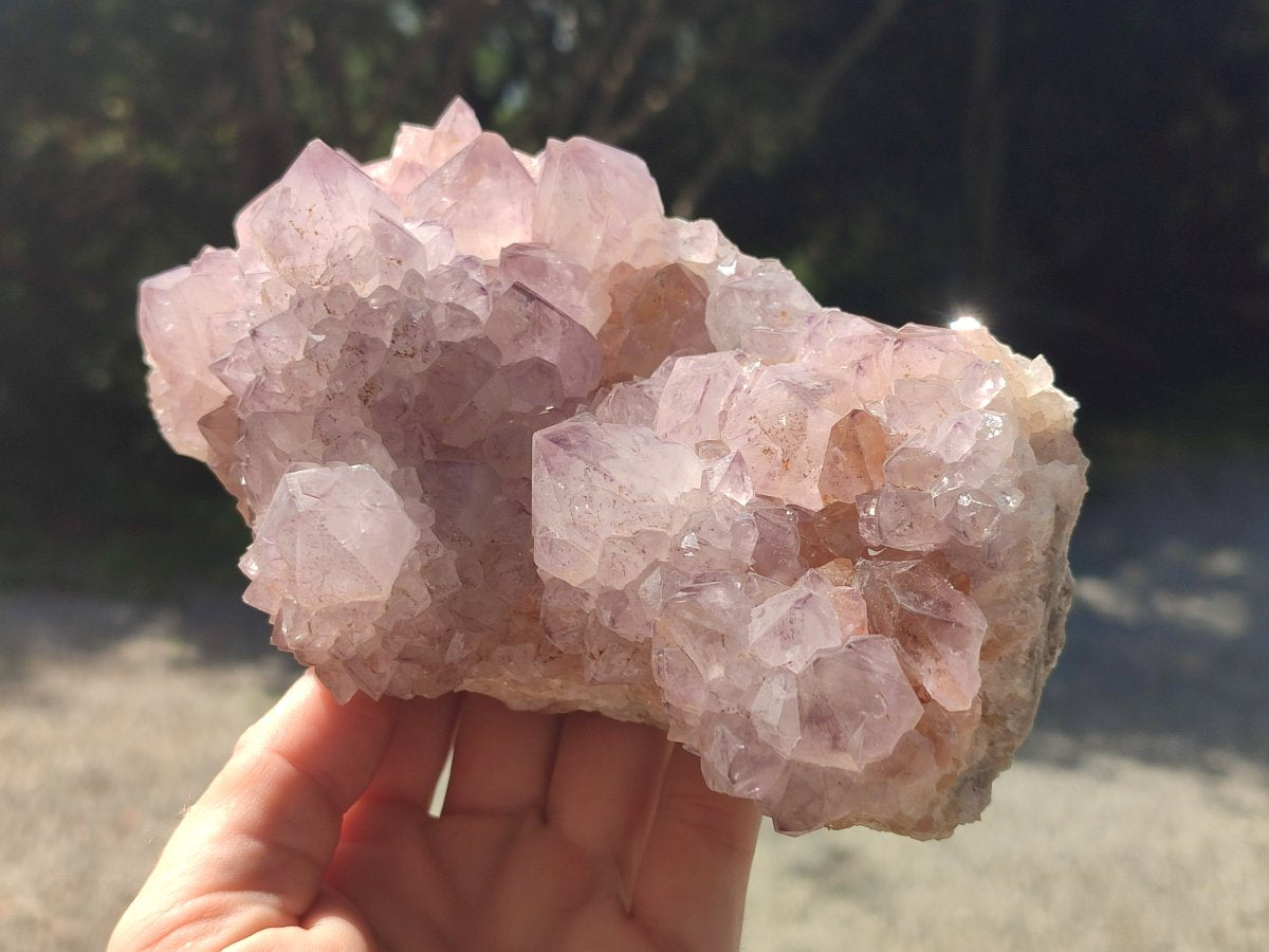 Natural Sunburst Cactus Flower Spirit Amethyst Clusters x 2 From Boekenhouthoek, South Africa - Toprock Gemstones and Minerals 