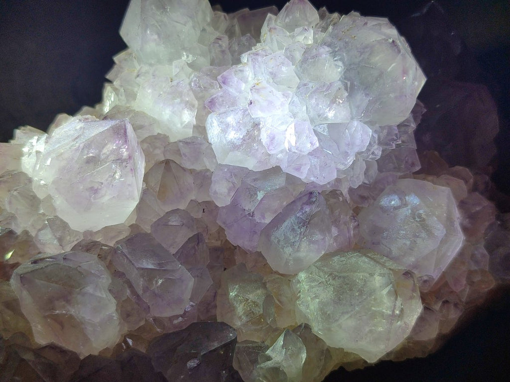 Natural Sunburst Cactus Flower Spirit Amethyst Clusters x 2 From Boekenhouthoek, South Africa - Toprock Gemstones and Minerals 