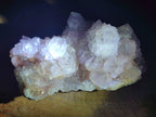 Natural Sunburst Cactus Flower Spirit Amethyst Clusters x 2 From Boekenhouthoek, South Africa - Toprock Gemstones and Minerals 