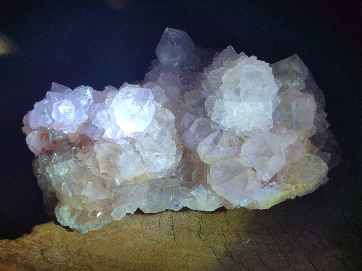 Natural Sunburst Cactus Flower Spirit Amethyst Clusters x 2 From Boekenhouthoek, South Africa - Toprock Gemstones and Minerals 