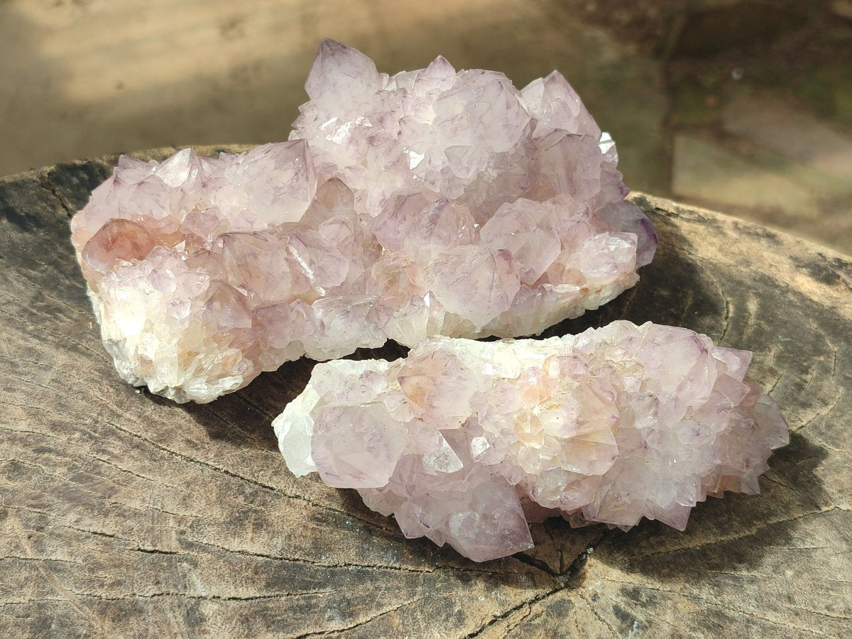 Natural Sunburst Cactus Flower Spirit Amethyst Clusters x 2 From Boekenhouthoek, South Africa - Toprock Gemstones and Minerals 