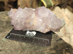 Natural Sunburst Cactus Flower Spirit Amethyst Clusters x 2 From Boekenhouthoek, South Africa - Toprock Gemstones and Minerals 