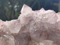 Natural Sunburst Cactus Flower Spirit Amethyst Clusters x 2 From Boekenhouthoek, South Africa - Toprock Gemstones and Minerals 