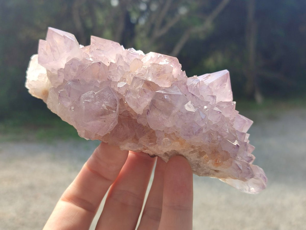 Natural Sunburst Cactus Flower Spirit Amethyst Clusters x 2 From Boekenhouthoek, South Africa - Toprock Gemstones and Minerals 