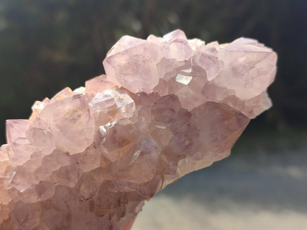 Natural Sunburst Cactus Flower Spirit Amethyst Clusters x 2 From Boekenhouthoek, South Africa - Toprock Gemstones and Minerals 
