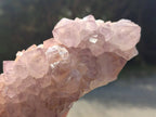 Natural Sunburst Cactus Flower Spirit Amethyst Clusters x 2 From Boekenhouthoek, South Africa - Toprock Gemstones and Minerals 