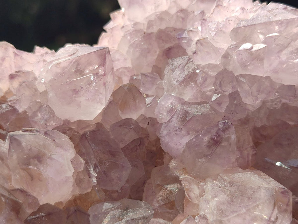Natural Sunburst Cactus Flower Spirit Amethyst Clusters x 2 From Boekenhouthoek, South Africa - Toprock Gemstones and Minerals 