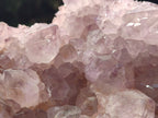 Natural Sunburst Cactus Flower Spirit Amethyst Clusters x 2 From Boekenhouthoek, South Africa - Toprock Gemstones and Minerals 
