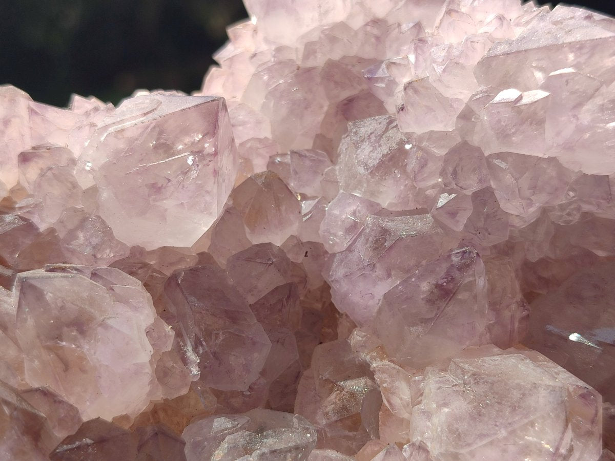 Natural Sunburst Cactus Flower Spirit Amethyst Clusters x 2 From Boekenhouthoek, South Africa - Toprock Gemstones and Minerals 
