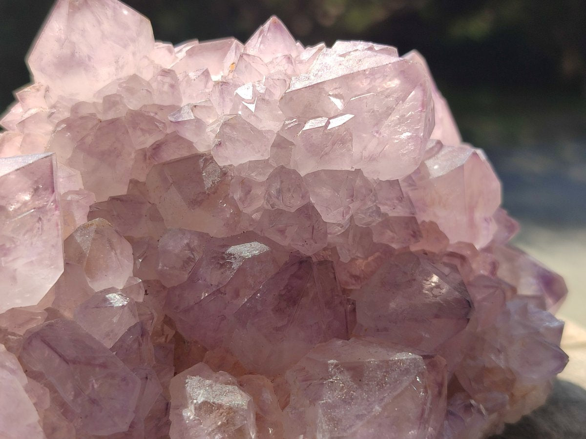 Natural Sunburst Cactus Flower Spirit Amethyst Clusters x 2 From Boekenhouthoek, South Africa - Toprock Gemstones and Minerals 